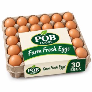 Fresh Egg